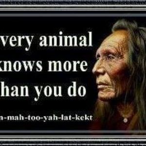 Meet your Posher, Cynthia